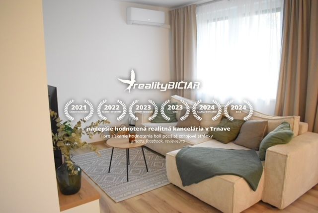 Living room in a 2-room apartment with a wooden decor floor and a sofa.