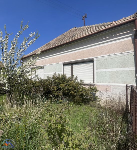 A family house in Bátorove Kosihy with a flower garden and a cherry tree.