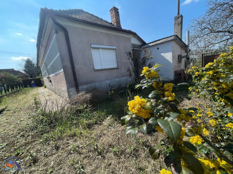 A family house in Bátorove Kosihy, a garden with blooming shrubs and surrounding greenery.
