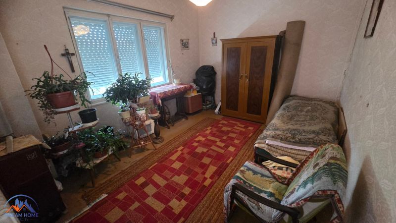 A room in a family house with carpets, antique furniture, and lots of houseplants.