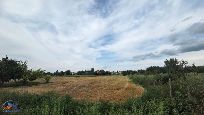 Landscape in Bátorove Kosihy with a field and trees near family houses, blue sky.