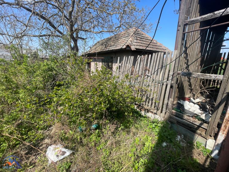 An overgrown yard of a family house in Bátorove Kosihy with a fence and an old shelter.