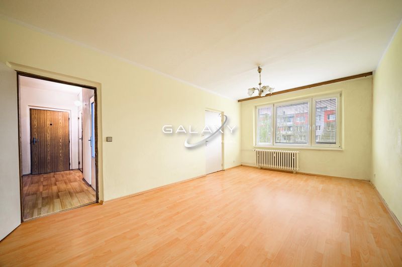 A bright living space in a two-room apartment with wood-patterned flooring and large windows.