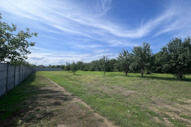 Land on Ábovská in Ždaňa, suitable for living, with fruit trees.