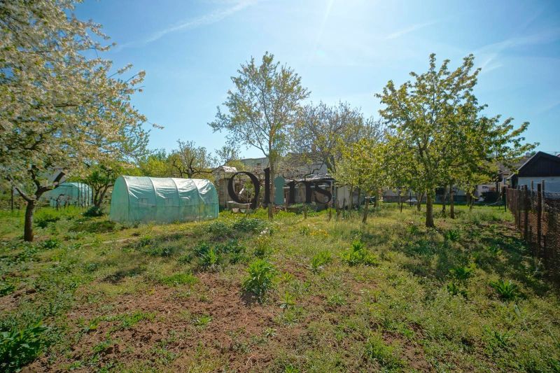 A garden with a greenhouse and trees at a family house in Veľký Lapáš.