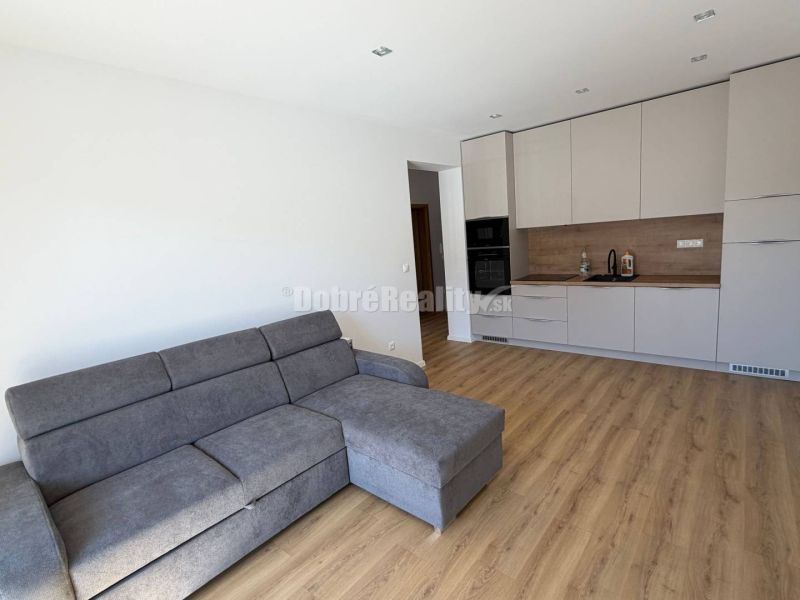 Living room with a kitchen, gray sofa, and wooden decor flooring in a two-room apartment.