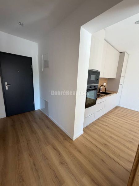 Entrance to a 2-room apartment with a kitchen, wooden decor flooring, white cabinets.