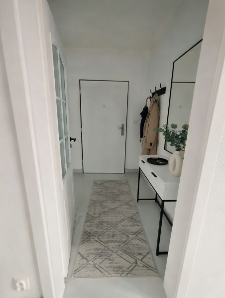 A hallway in a 2-room apartment with a narrow carpet, a mirror, and a coat rack.