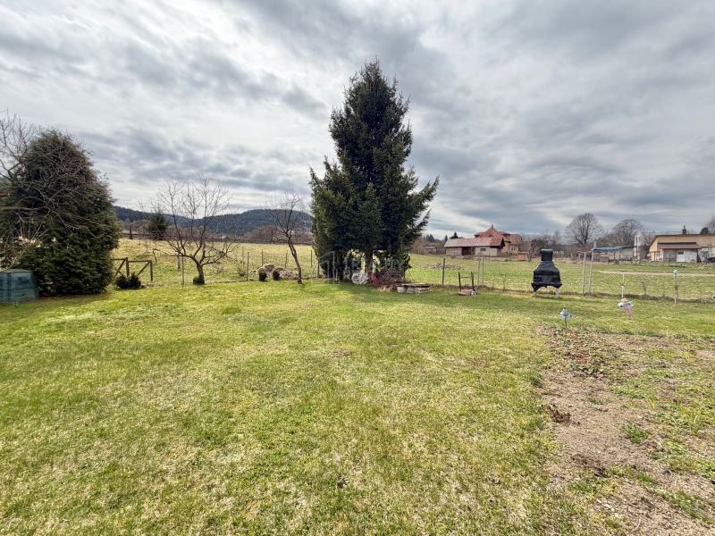 A garden at a family house in Vysoká nad Kysucou with a lawn and trees.