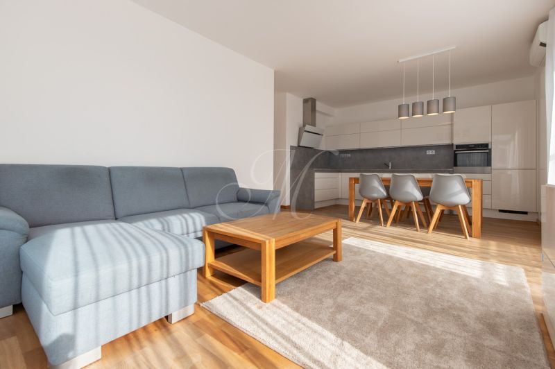 Living room in a 3-room apartment with a wooden decor floor, a sofa, and a kitchenette.