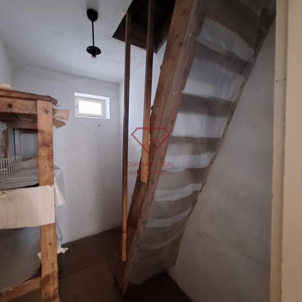 Wooden stairs and shelves in the basement of a family house.
