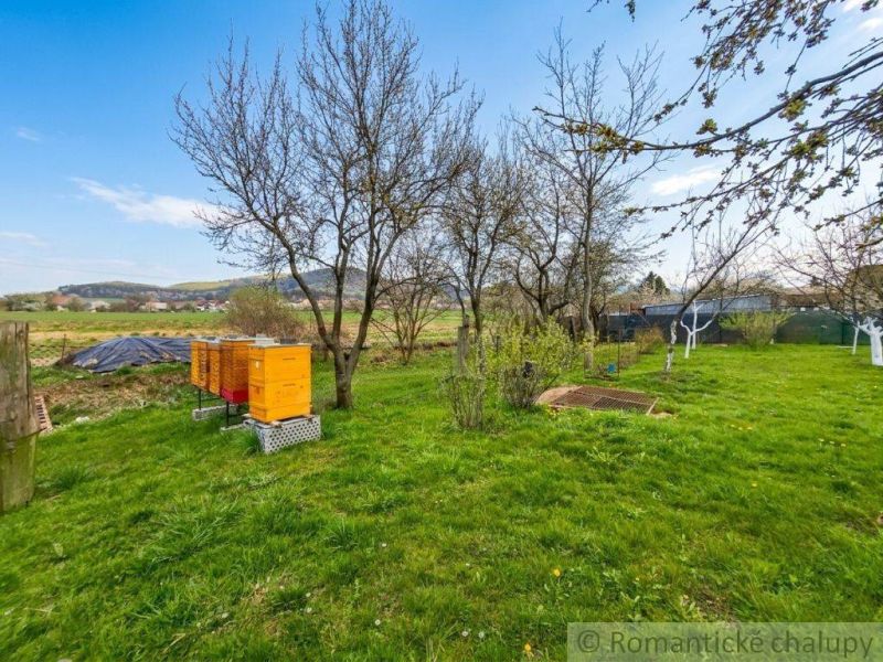 The garden of a family house in Stožok with beehives and fruit trees in a green environment.