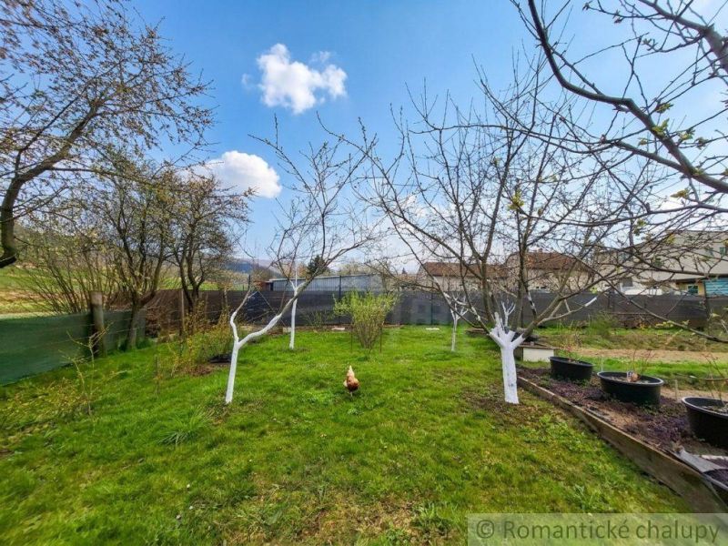 A garden with fruit trees and a chicken near a family house in Stožok.