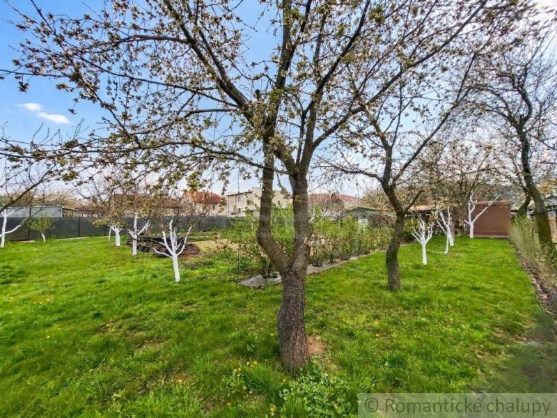 Garden in Stožok near a family house with blooming trees and a lawn.