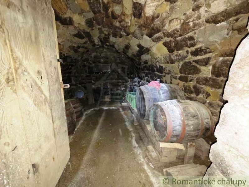 A stone cellar in a cottage with wooden barrels and an earthen floor.