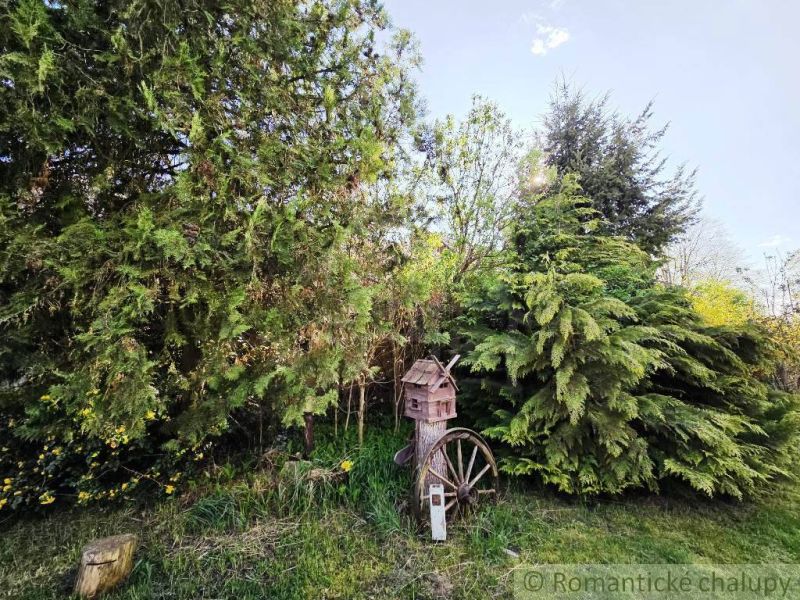 The greenery near the cottage in Šahy with a wooden wheel and rustic decor.
