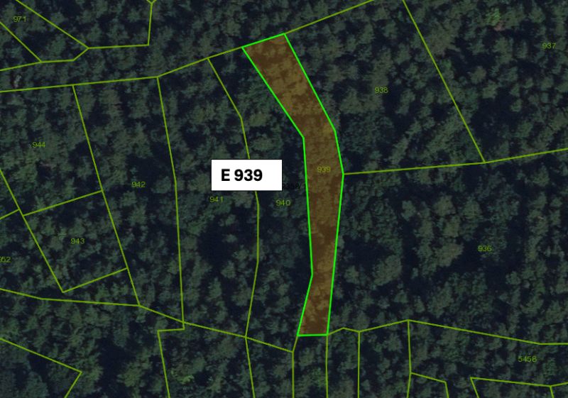 Cadastral map of agricultural and forest land in the area of Veľký Šariš.