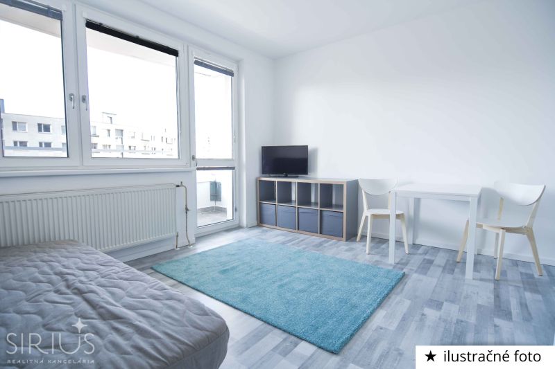 Studio apartment with wood-patterned flooring, armchair, table, carpet, TV, armchair.