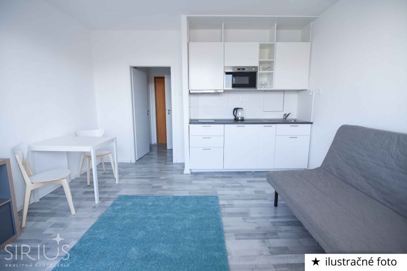 Studio apartment with a kitchenette, sofa, table, and wooden decor flooring.