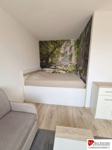 A room in a one-room apartment with a bed, a sofa, and a forest photo wallpaper.