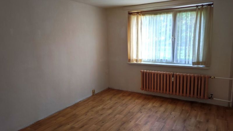 A room with a wooden floor decor and a large window in a studio apartment.