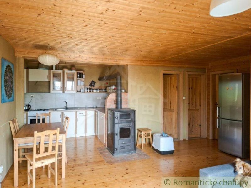 Interior of a family house with a kitchen, wooden ceiling, wood-patterned floor, and fireplace.