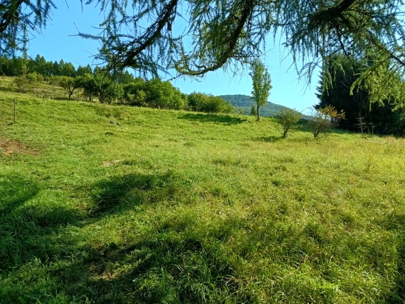 IMG_20250813_092302415_HDR.jpg