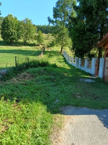 IMG_20250813_092408248_HDR.jpg