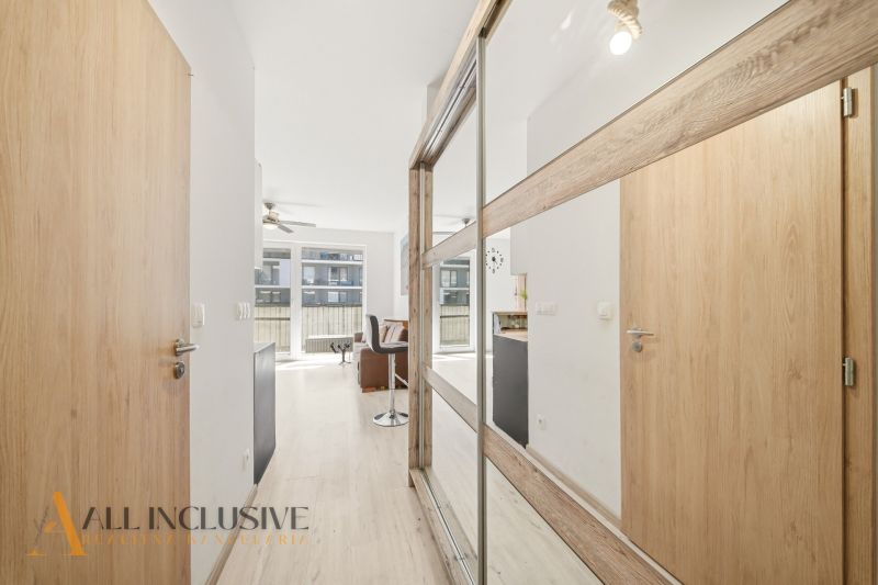 A hallway in a 2-room apartment with a wooden decor floor and a built-in wardrobe.