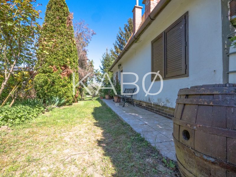 The exterior of the cottage in Nitra with a lawn, trees, and a barrel.