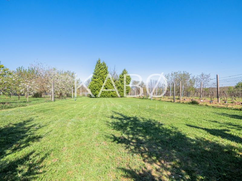 A grassy plot with fruit trees near a cottage in Nitra under sunny weather.