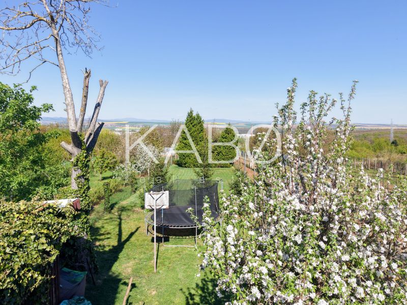 The garden of the cottage in Nitra with a trampoline surrounded by trees and flowers.