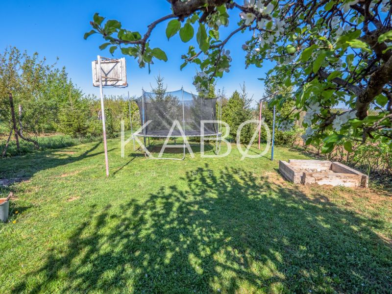 A garden by the cottage in Nitra with a trampoline, a basketball hoop, and a sandbox.