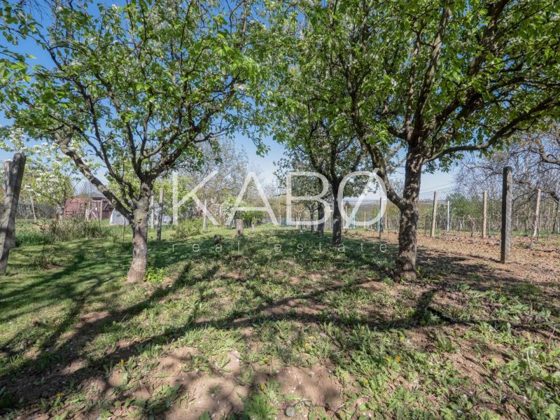 A garden with fruit trees around the cottage in Nitra, fenced planting.