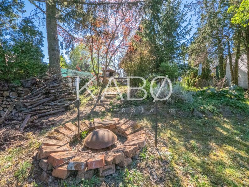 A garden with a fire pit next to a cottage in Nitra surrounded by trees and wood.