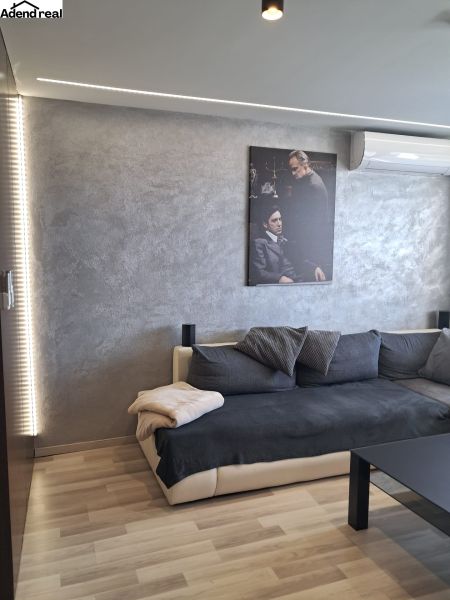 Living room with a sofa, gray cushions, and a wooden decor floor in a 2-room apartment.