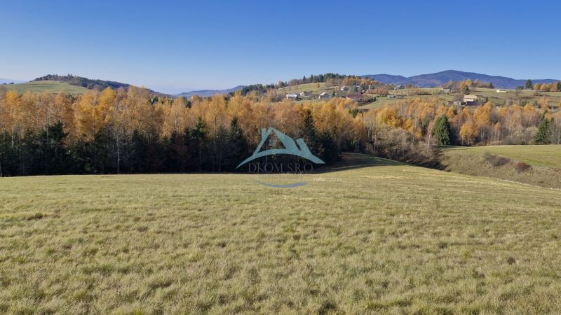 Autumn trees and meadow in Detvianska Huta suitable for residential land.