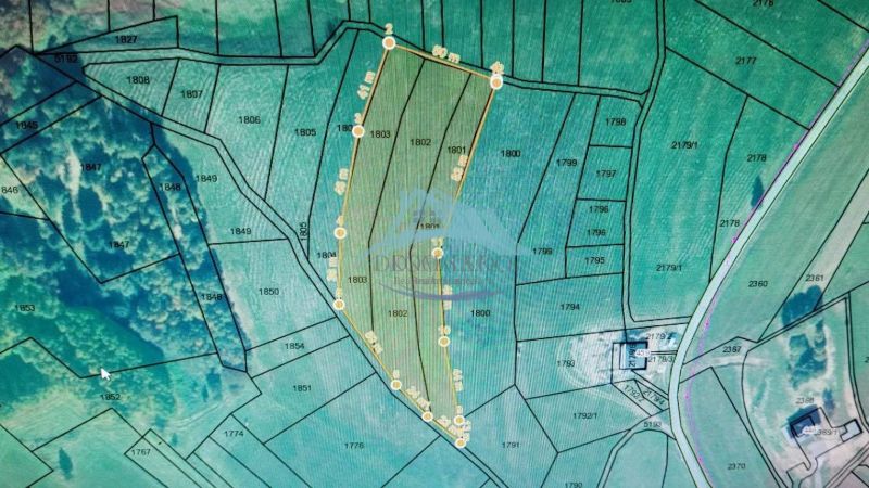 Map of residential plots in Detvianska Huta, showing the division of parcels.