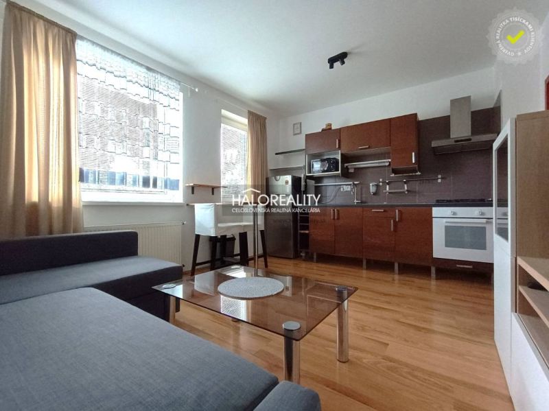 Living room with kitchen in a 2-room apartment, wooden decor flooring, light walls, gray sofa.