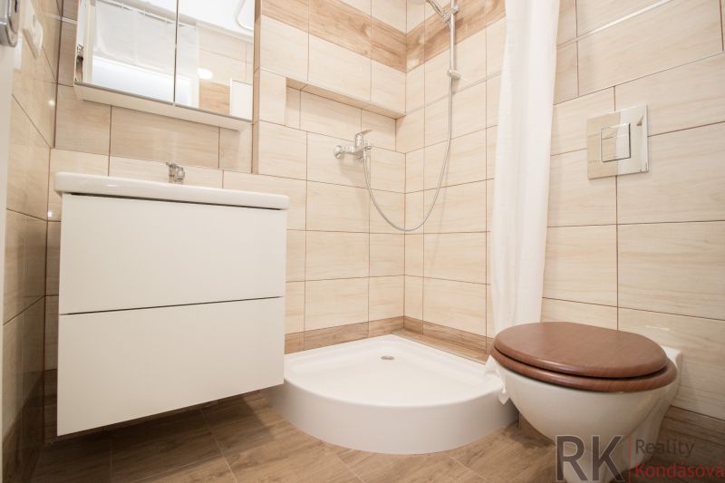 Bathroom with toilet, shower and sink, floor with wood decor.