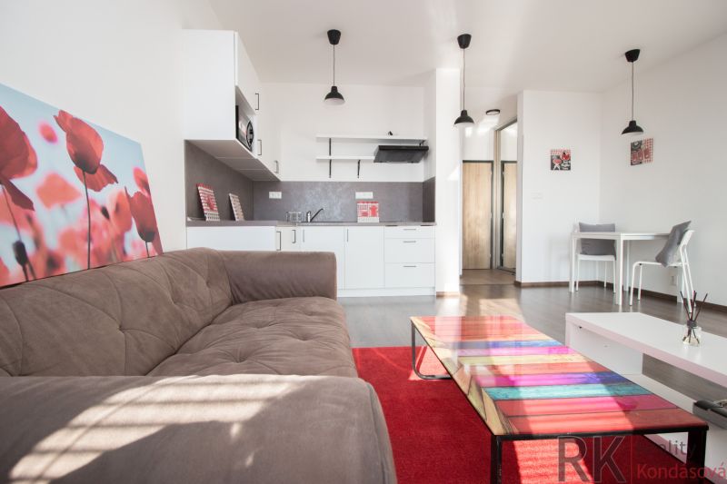 Living room with a sofa, kitchenette, and table in a studio apartment.