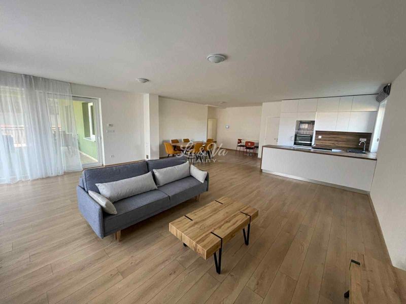 Living room with wood-patterned flooring, kitchen, and sofa in a family house.