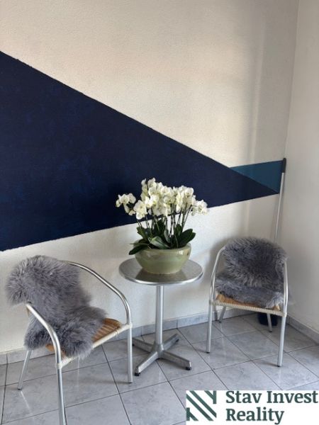 Two chairs with fur and a flower pot on the table in the office.
