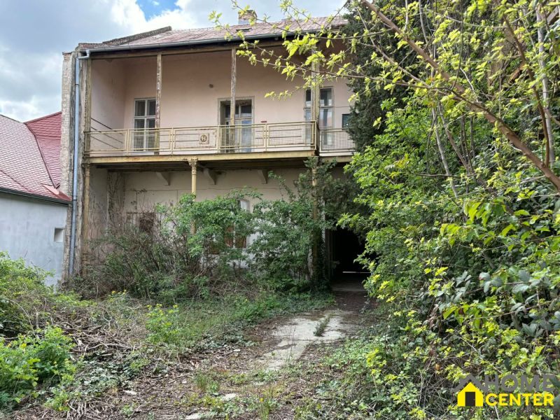 An overgrown building falls into the category of special properties in Komárno.