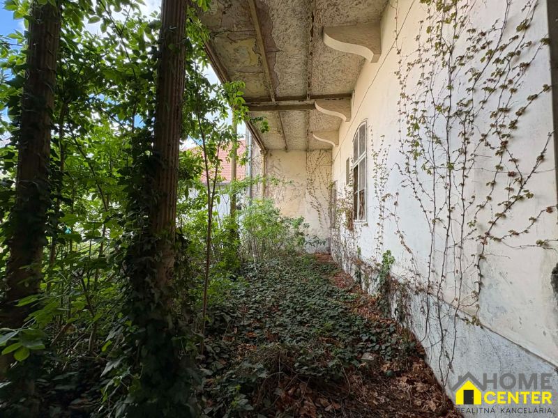 A covered veranda in Komárno overgrown with ivy, part of unusual properties.