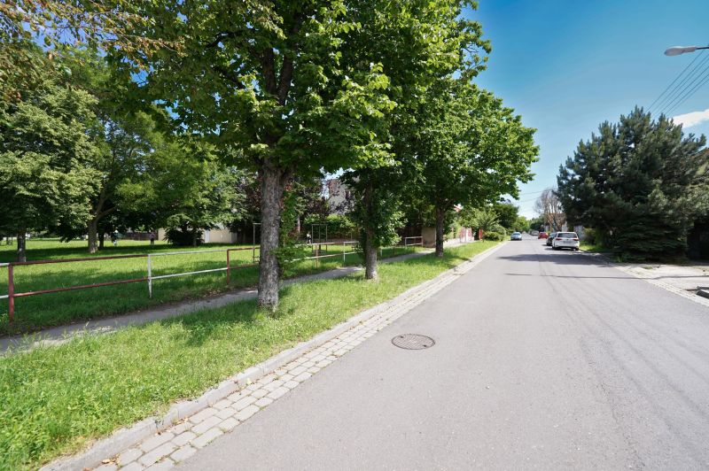 Trees along Kladnianska Street in Bratislava - Ružinov near family houses.