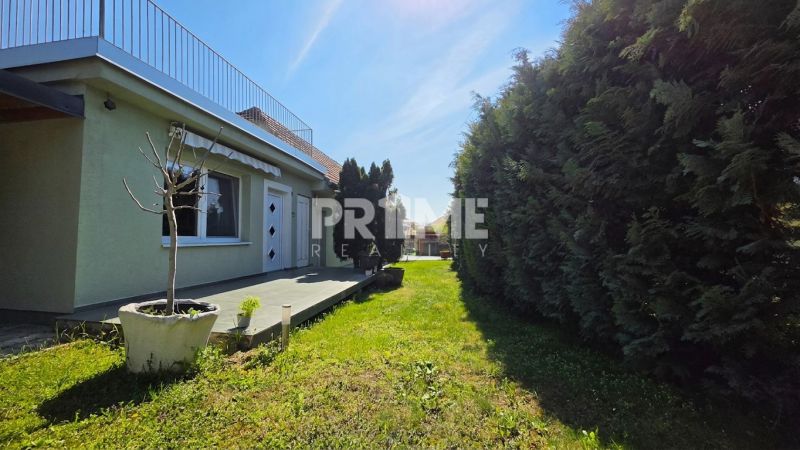 A family house on Krátka Street in Dunajská Lužná with a terrace and dense vegetation.