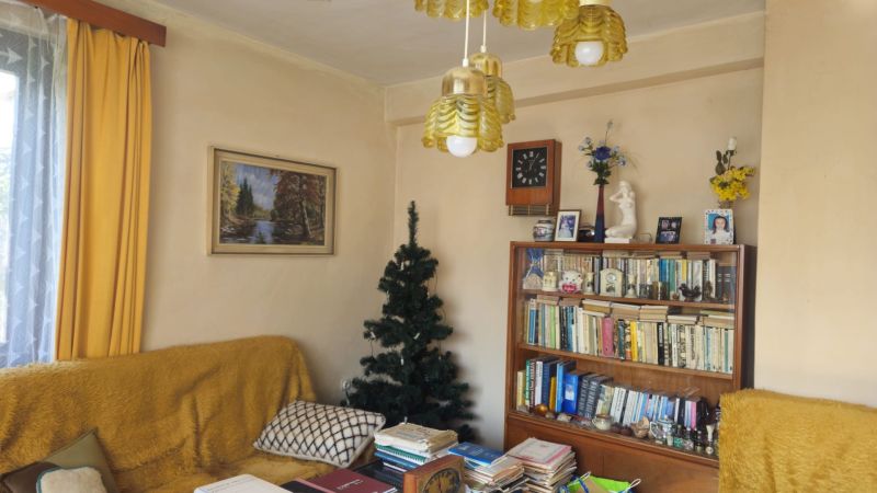 Interior of a family house with a bookshelf, a couch, a tree, and retro lights.