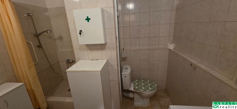 A bathroom in a studio apartment with a shower and toilet, surrounded by tiles.
