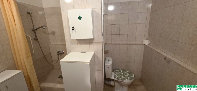 Bathroom with toilet and shower in a studio apartment, light tiles.